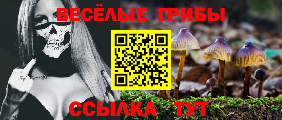 Галлюциногенные грибы прущие грибы  Галлюциногенные грибы Magic Shrooms  Нерюнгри  Вход с VPN 
